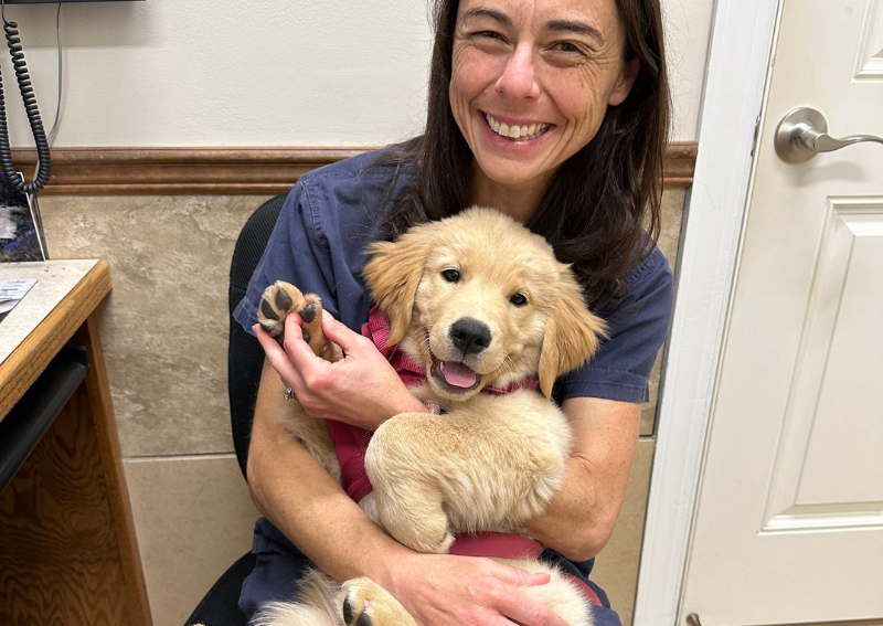 Home | Crabapple Knoll Veterinary Clinic | Alpharetta